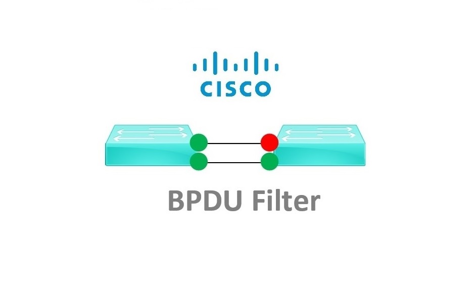 A Look at BPDU Filter and its Potential to Cause a Network Loop